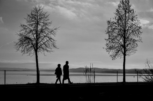silhouettes-271104 640
